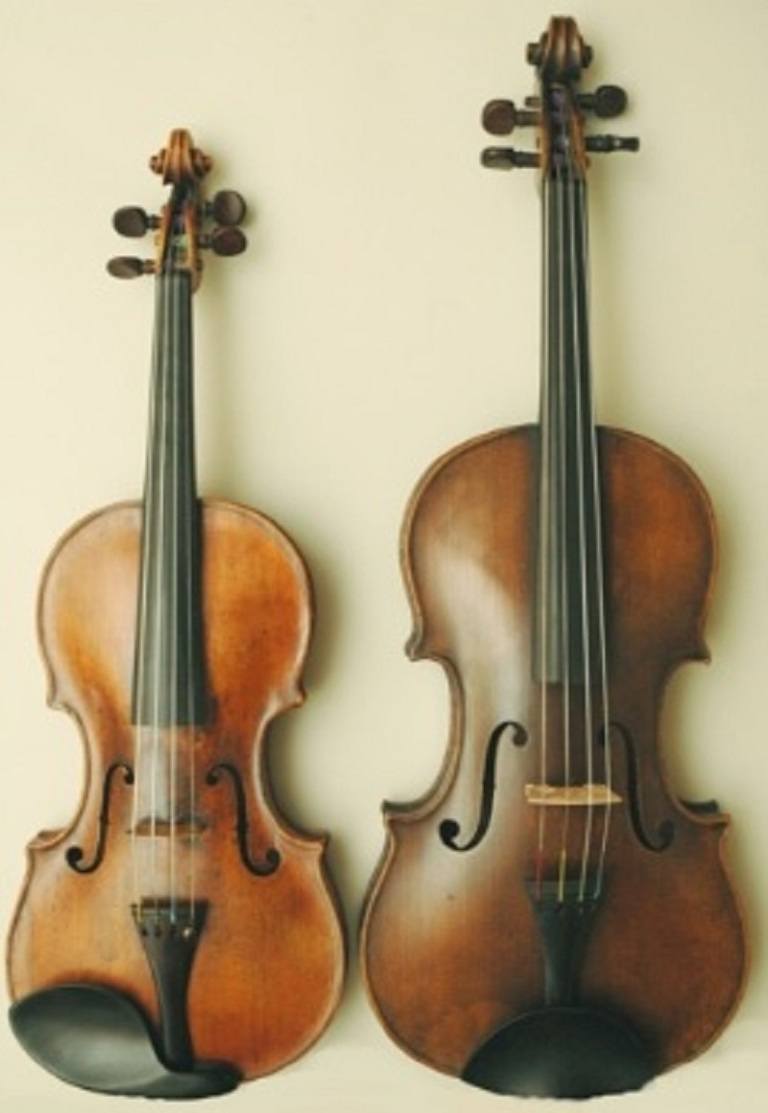 Who Invented the Violin? Music Authority